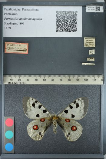 Media type: image;   Entomology 175099